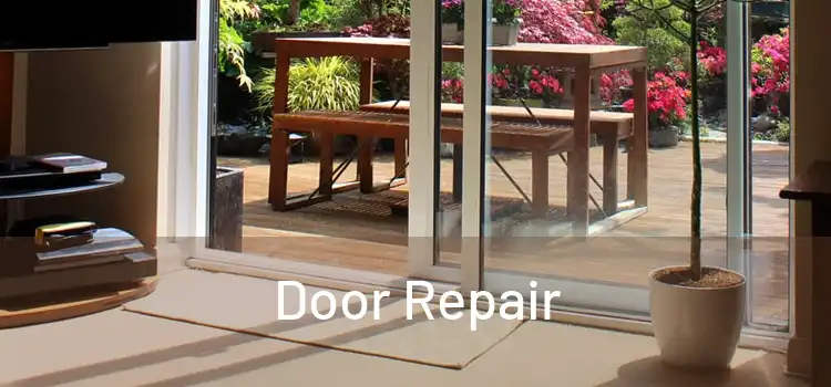 Door Repair